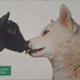 ...animali...